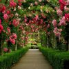 Create a Luxurious Garden