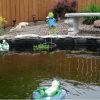 DIY Lined Pond Within The Budget