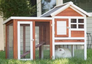 How to Build a Rabbit Hutch Quickly