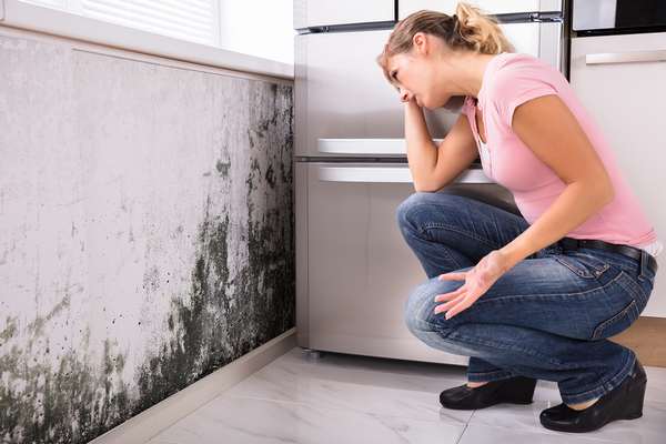 Mold in Your Basement