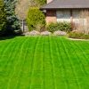 best fertilizer for your lawns
