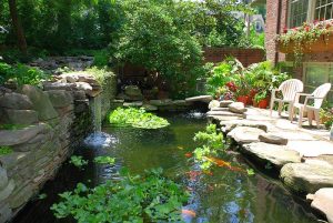 How to Install a Tinkler Tube in Your Pond