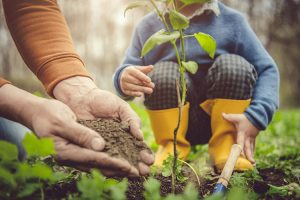 How to Keep Your Garden Clean